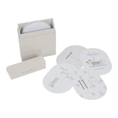 Karta momentesh për bebe Baby Bunny FSC