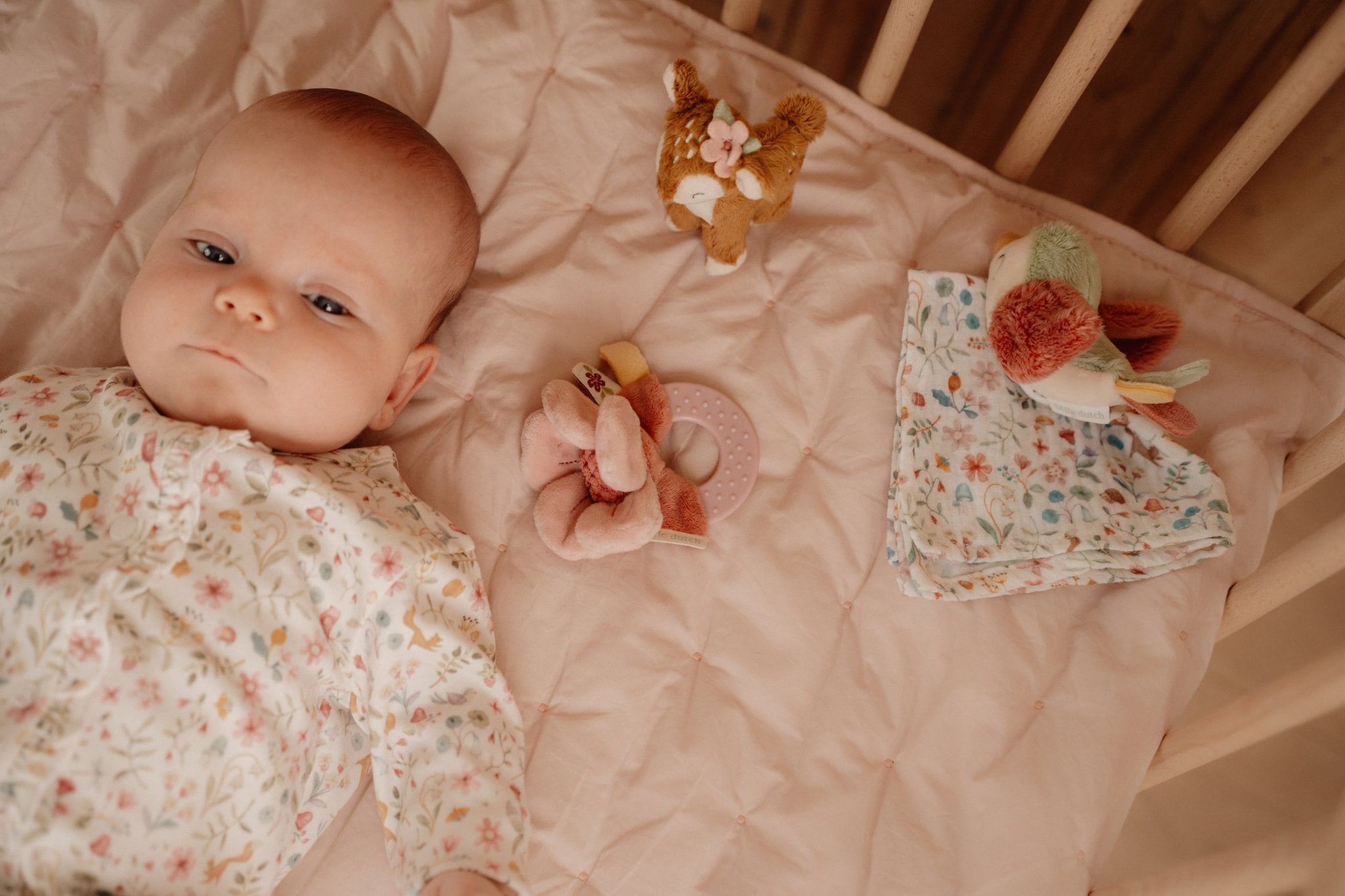 Kuti dhuratë Fairy Garden GRS