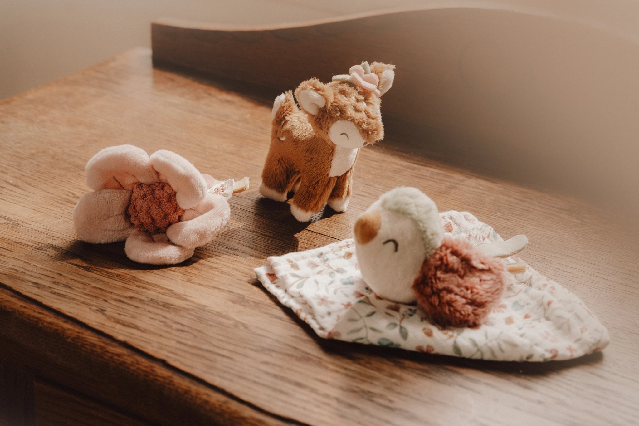 Kuti dhuratë Fairy Garden GRS