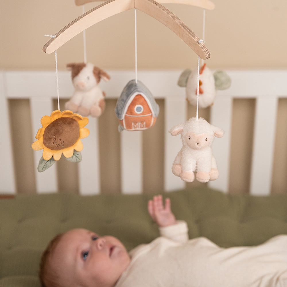 Kuti muzikore prej druri FSC