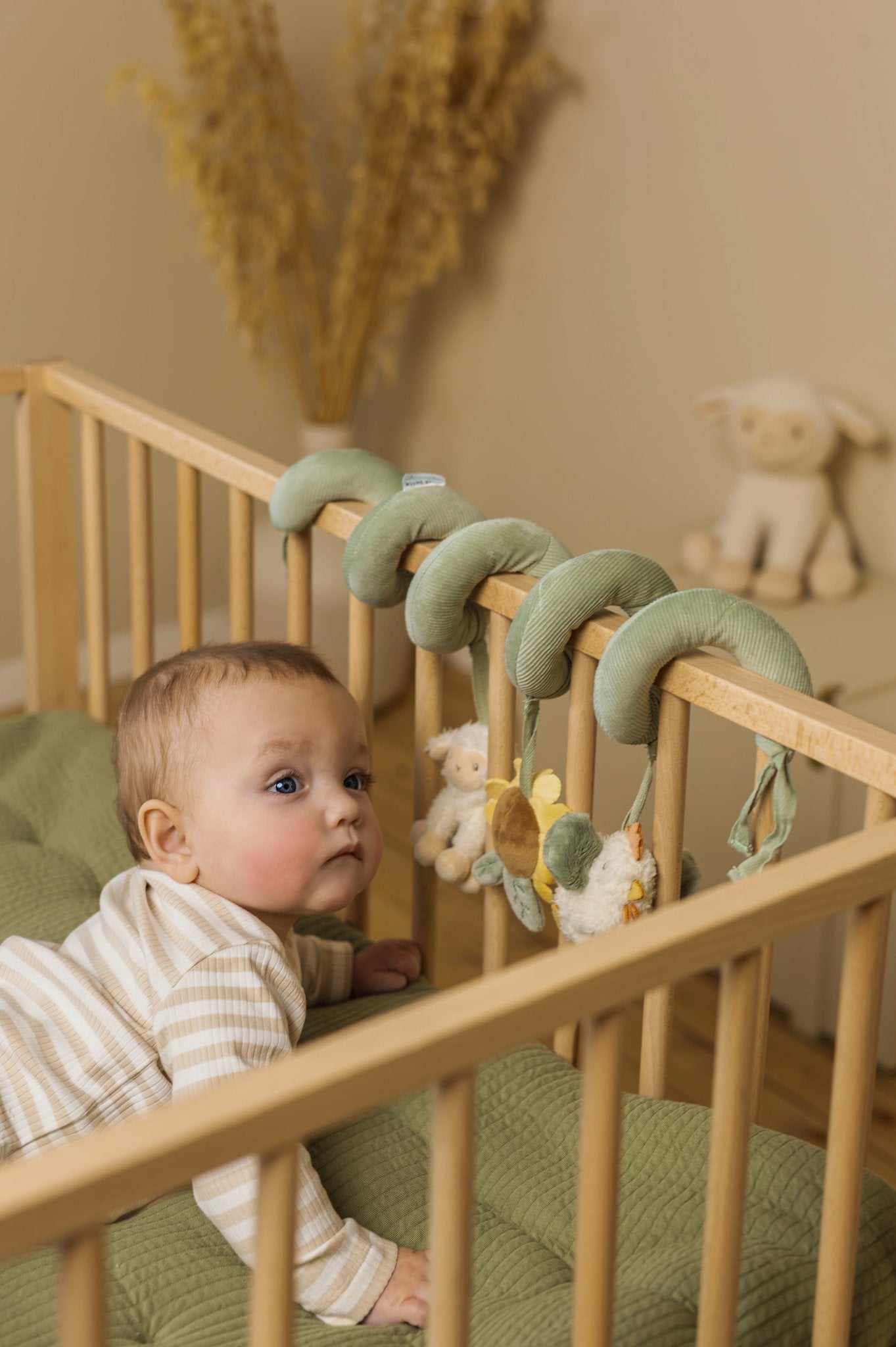 Spiral aktiviteti Little Farm