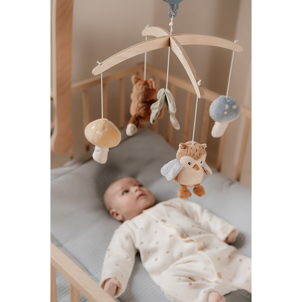 Kuti muzikore prej druri FSC