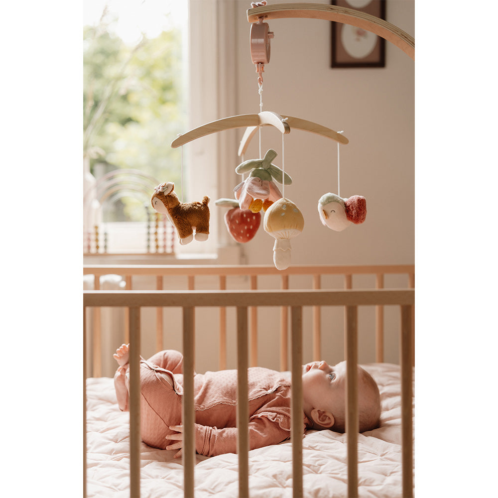 Kuti muzikore prej druri FSC