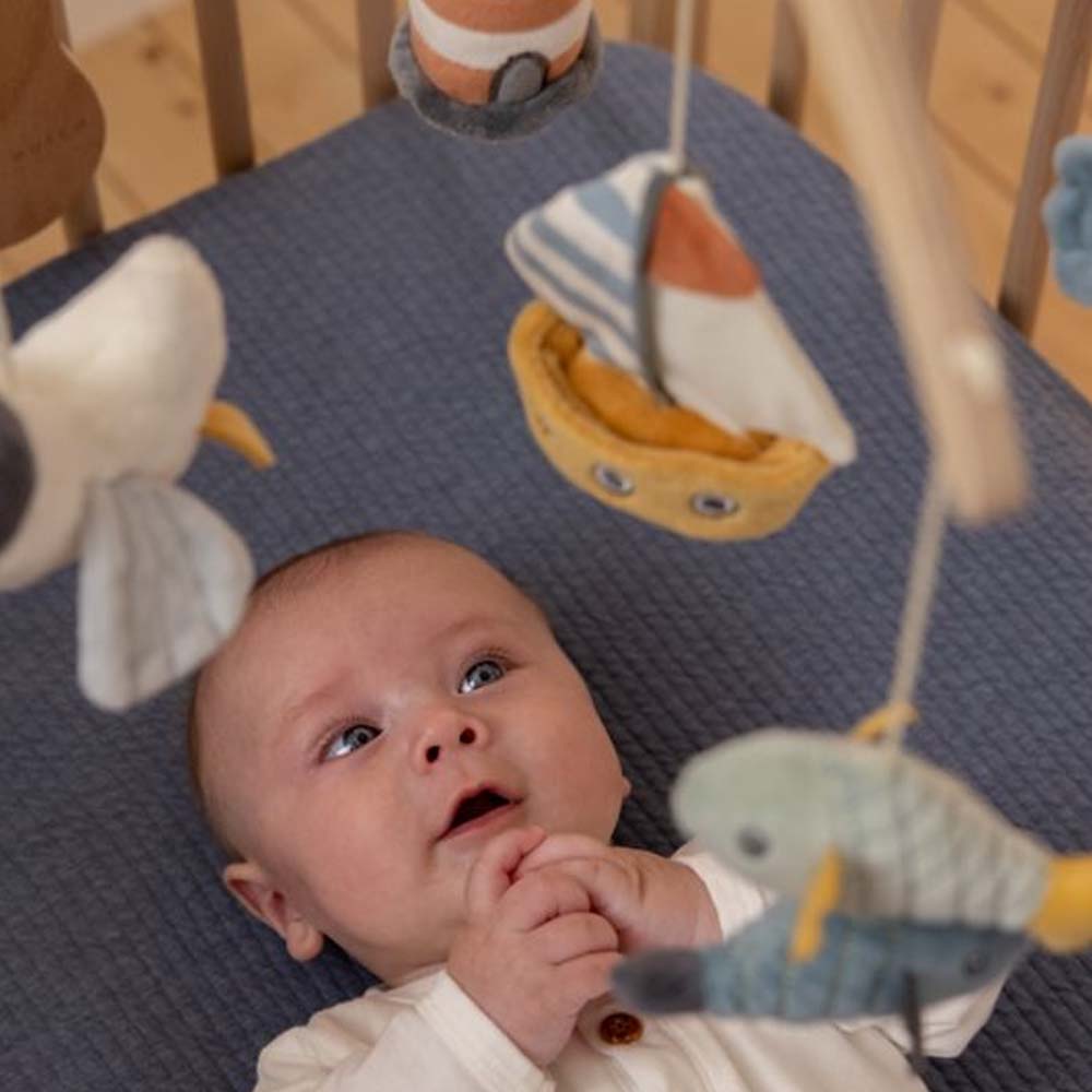 Kuti muzikore prej druri FSC