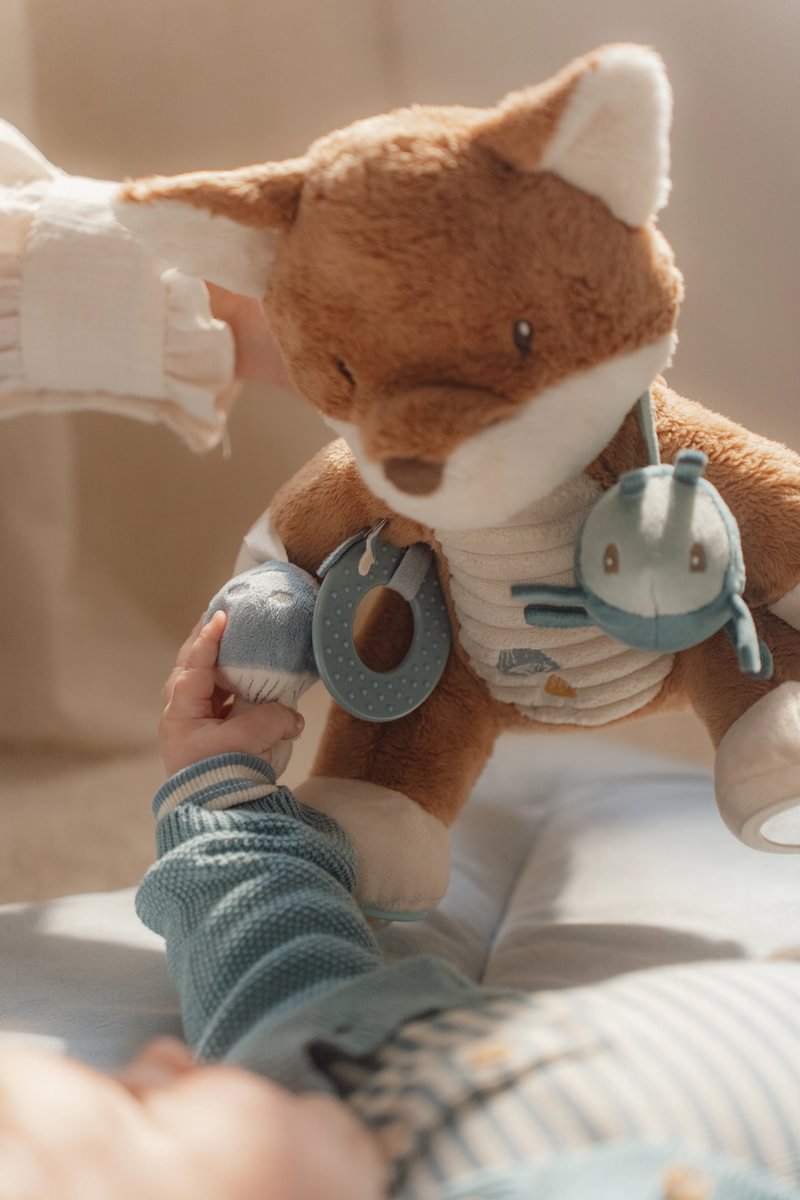 Lodër e butë aktiviteti dhelpër GRS -  Forest Friends