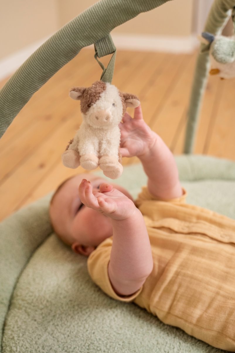 Tapet aktivitetesh Little Farm