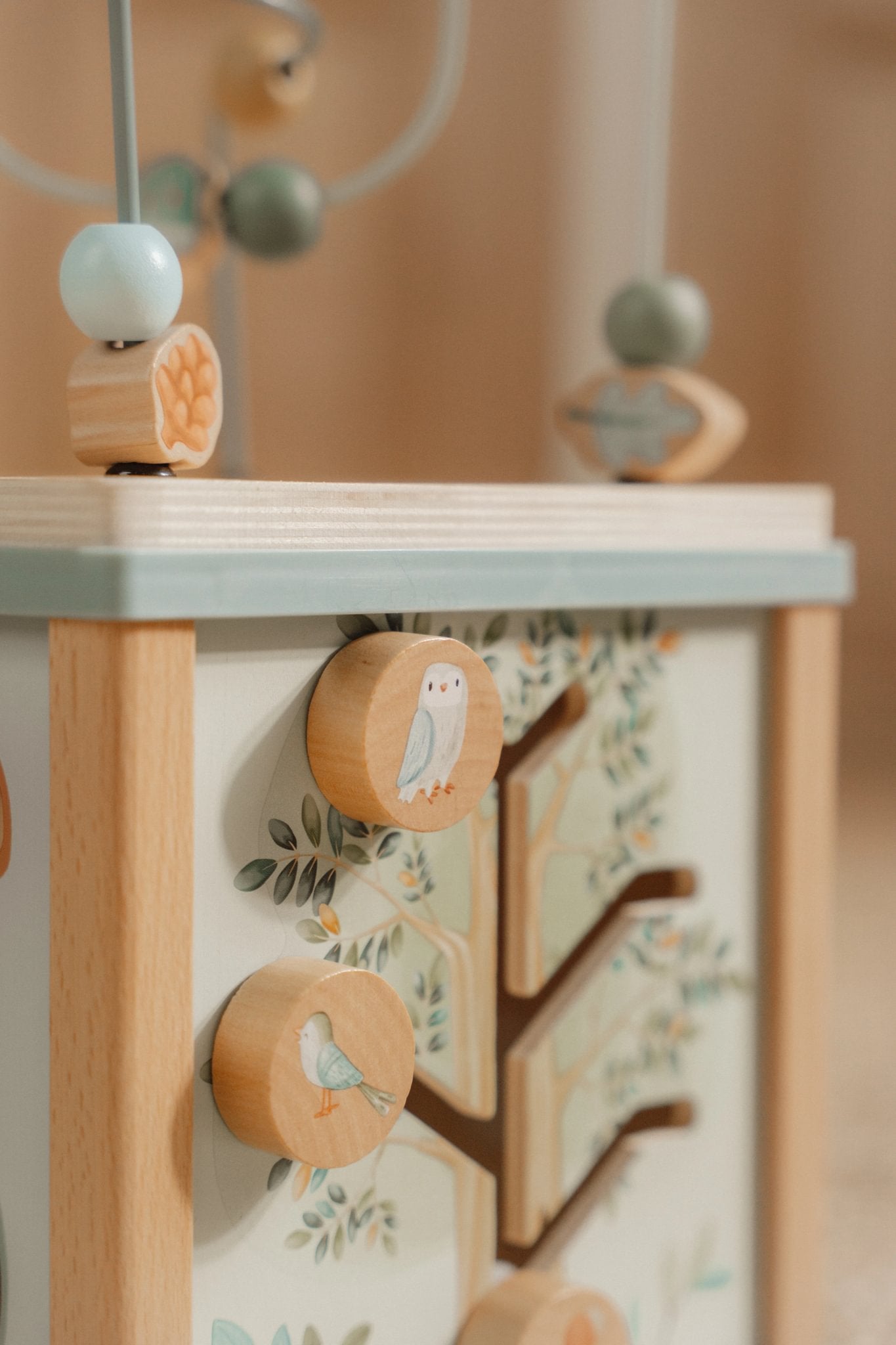 Kub aktiviteti Forest Friends FSC