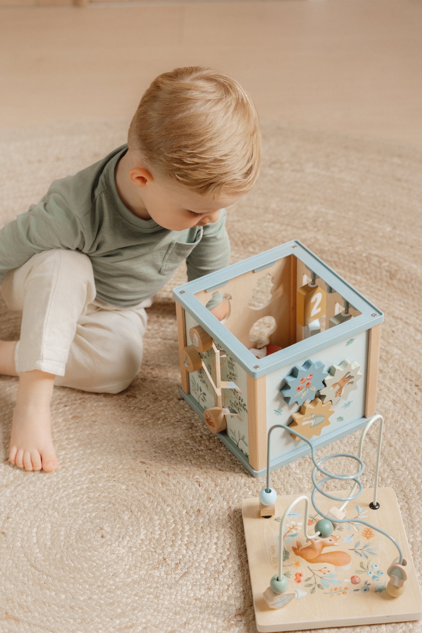 Kub aktiviteti Forest Friends FSC