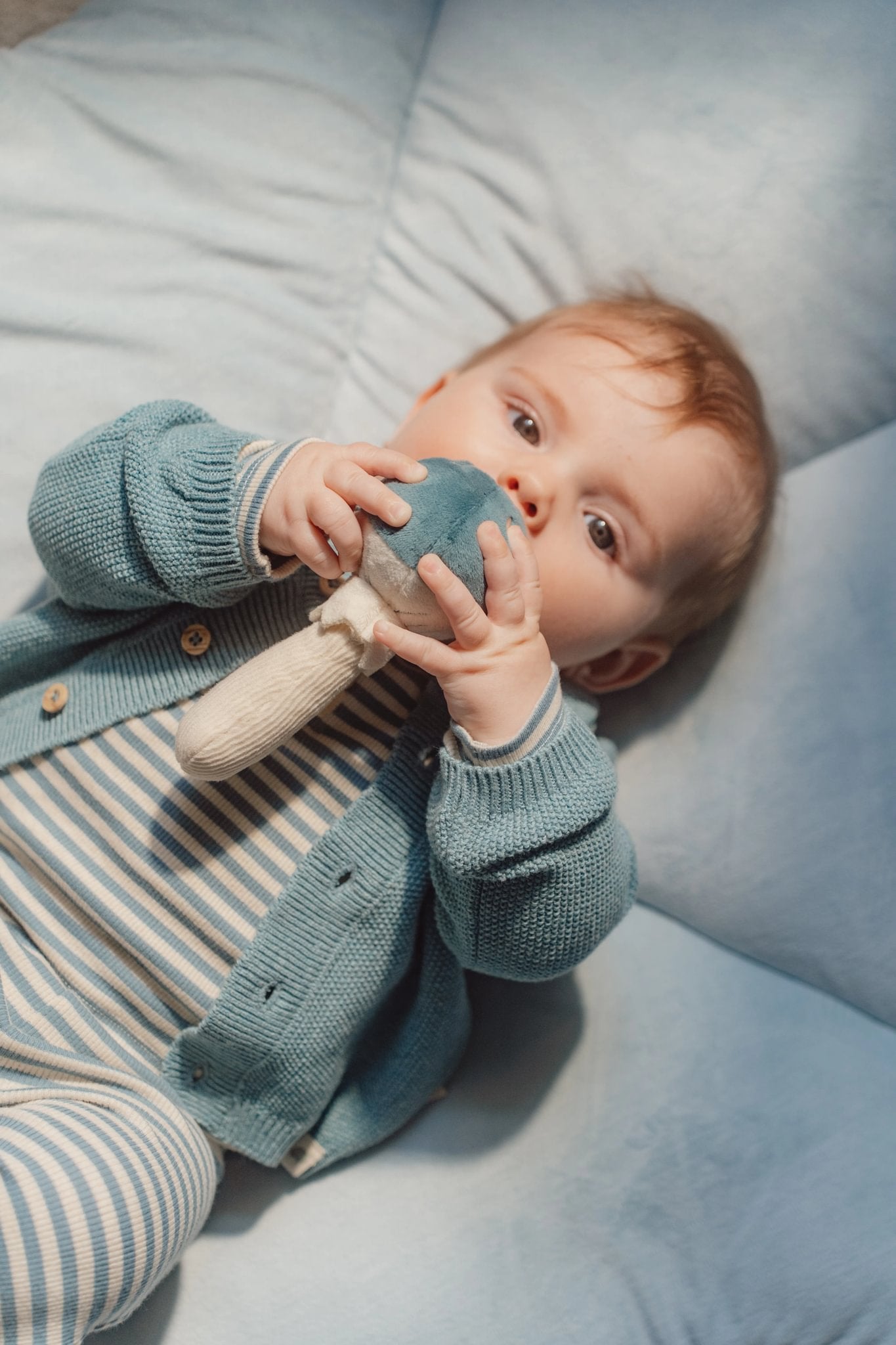 Ratel kërpudhë Forest Friends GRS
